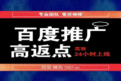 成功SEM推广代运营案例展示